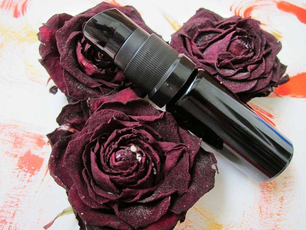 Ilustrasi lip serum (pixabay.com/saponifier)