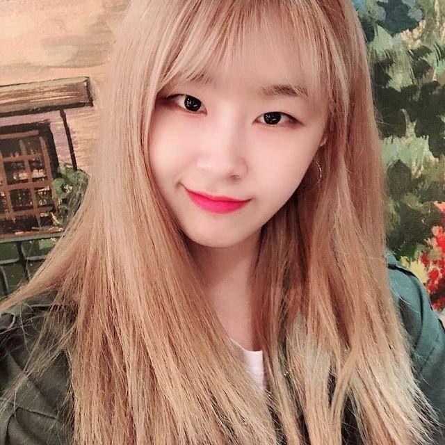 instagram.com/favorite_official