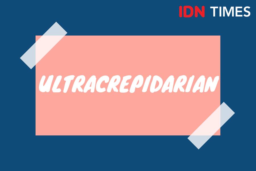 IDN Times/M. Tarmizi Murdianto