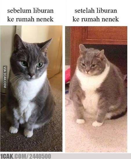 1cak.com