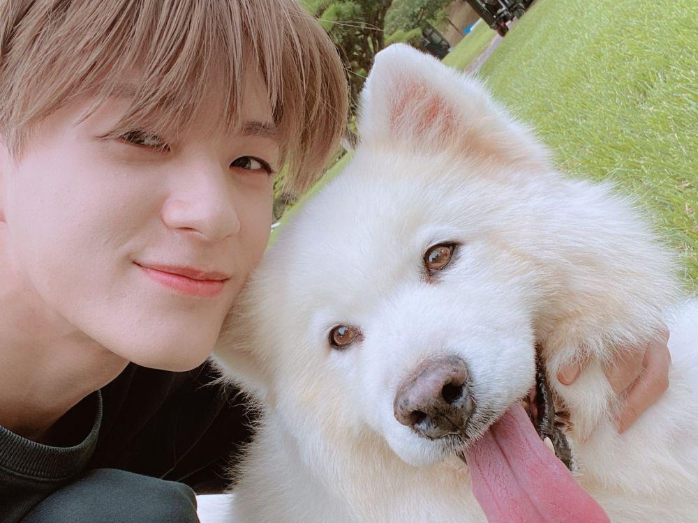 Gemas Banget! 5 Momen Jeno NCT Bersama Kucing dan Anjing