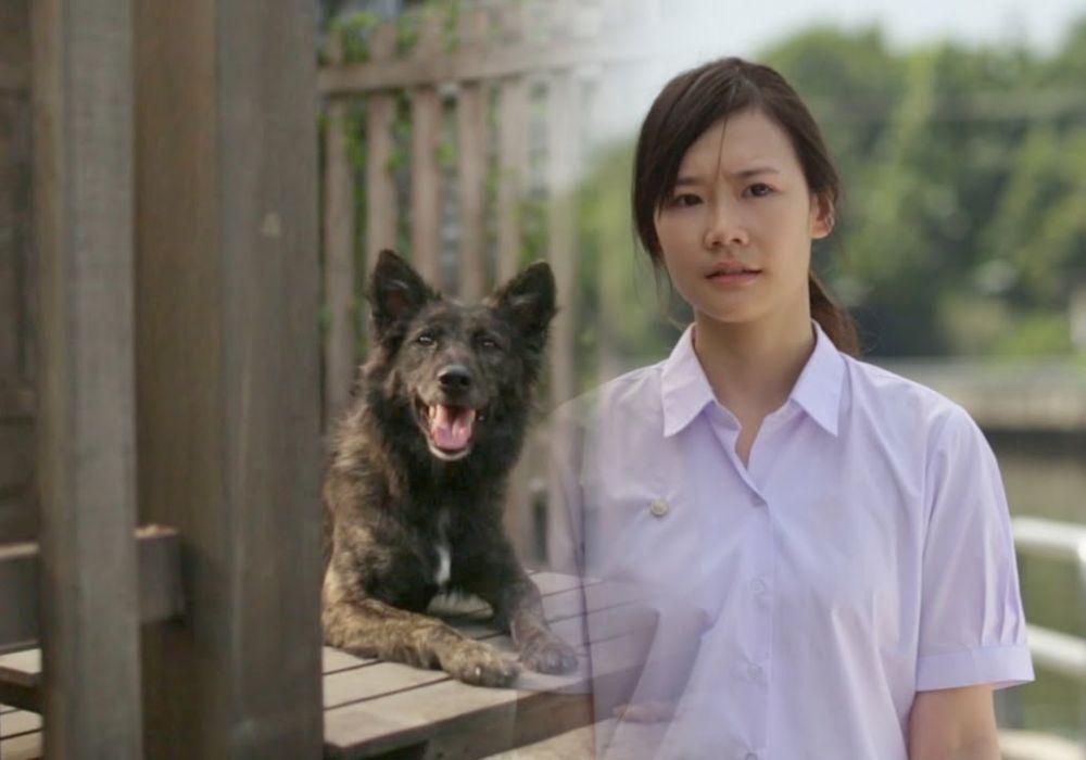 Mengharukan, 6 Iklan Thailand Ini Bisa Membuatmu Nangis Tanpa Disadari