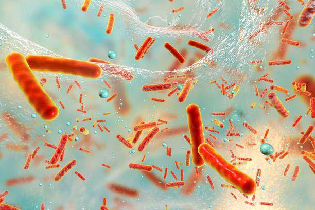istockphoto.com/Dr_Microbe