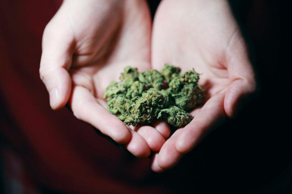 Legalitas Marijuana Thailand Berdampak Buruk untuk Indonesia
