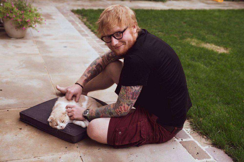 instagram.com/teddysphotos