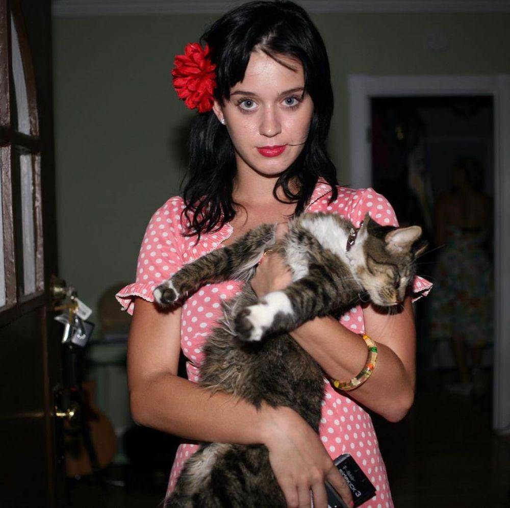 instagram.com/katyperry
