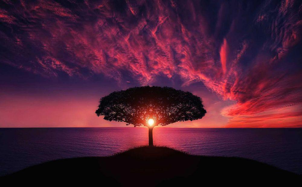[PUISI] Senyum Senja
