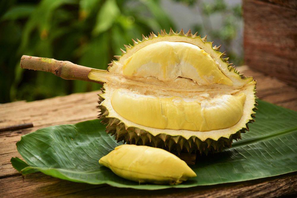 5 Sajian Lezat Berbahan Buah Durian, Bikin Ketagihan!