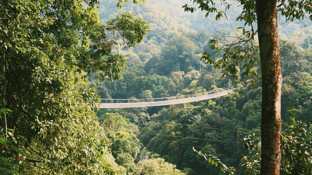 7 Keelokan Situ Gunung, Pesona Wisata Alam Sukabumi yang Asri