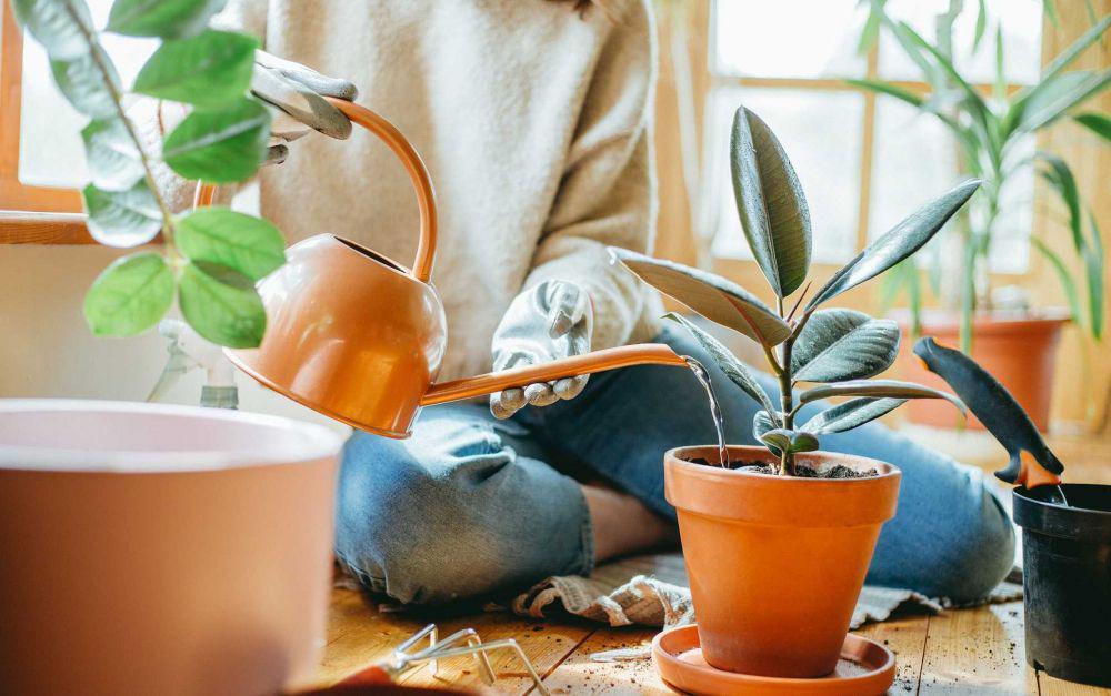 bhg.com
