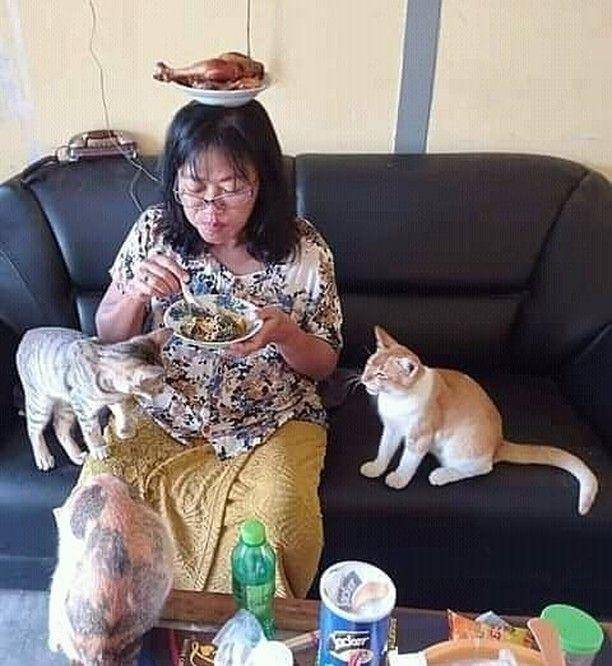 instagram.com/kucingseru
