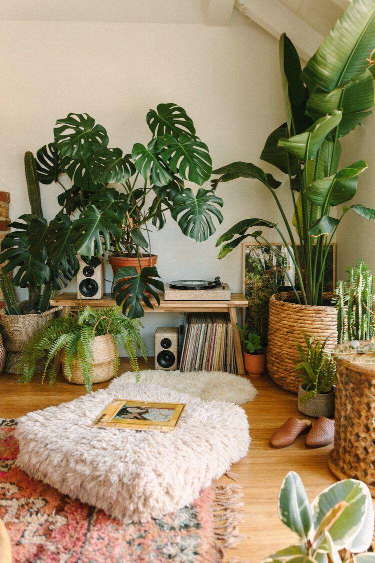 blackandblooms.com