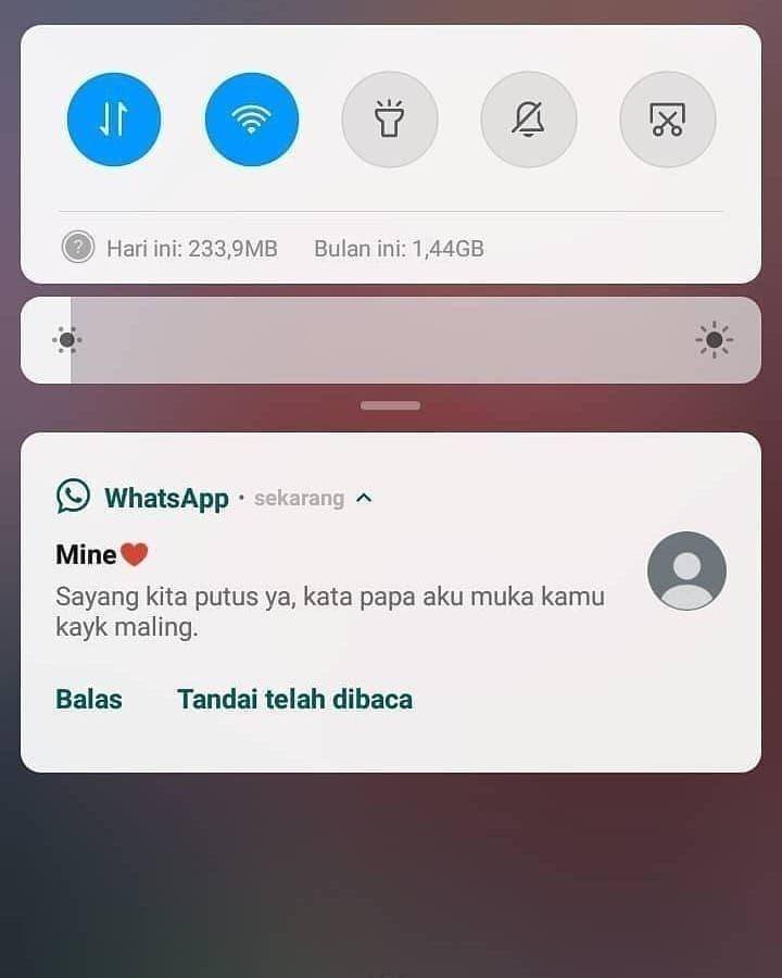 Instagram bikinsemangat
