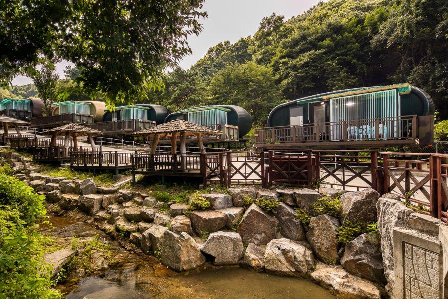 dwhealingcamp.com