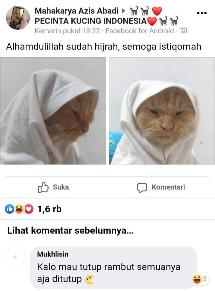 facebook.com/Pecinta Kucing Indonesia