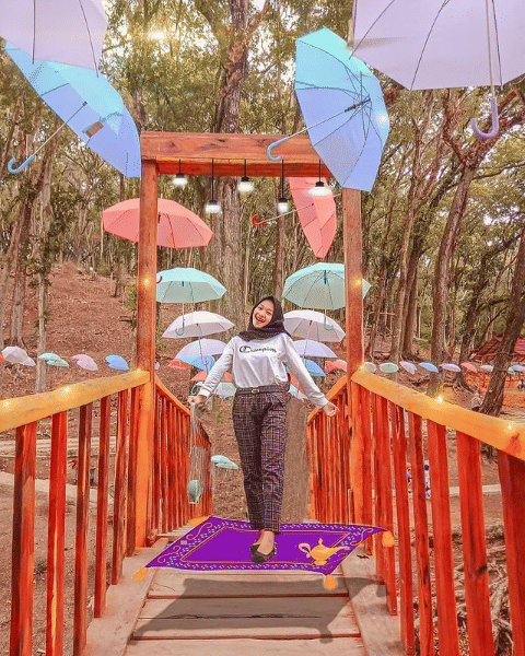 instagram.com/pacitantrip