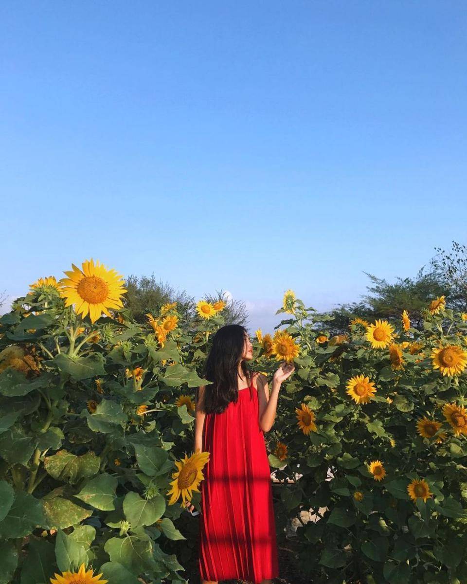 instagram.com/alikaislamadina