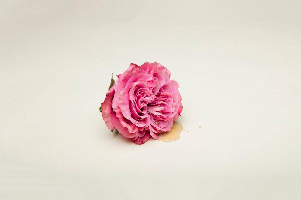 unsplash.com/Deon Black