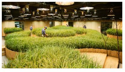 Kembankan Sektor Pertanian, Jepang-Telkom Kerja Sama Digitalisasi Agrikultur
