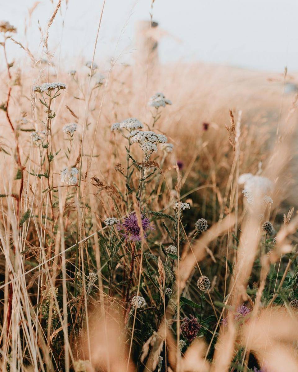 Pexels/Jack Redgate