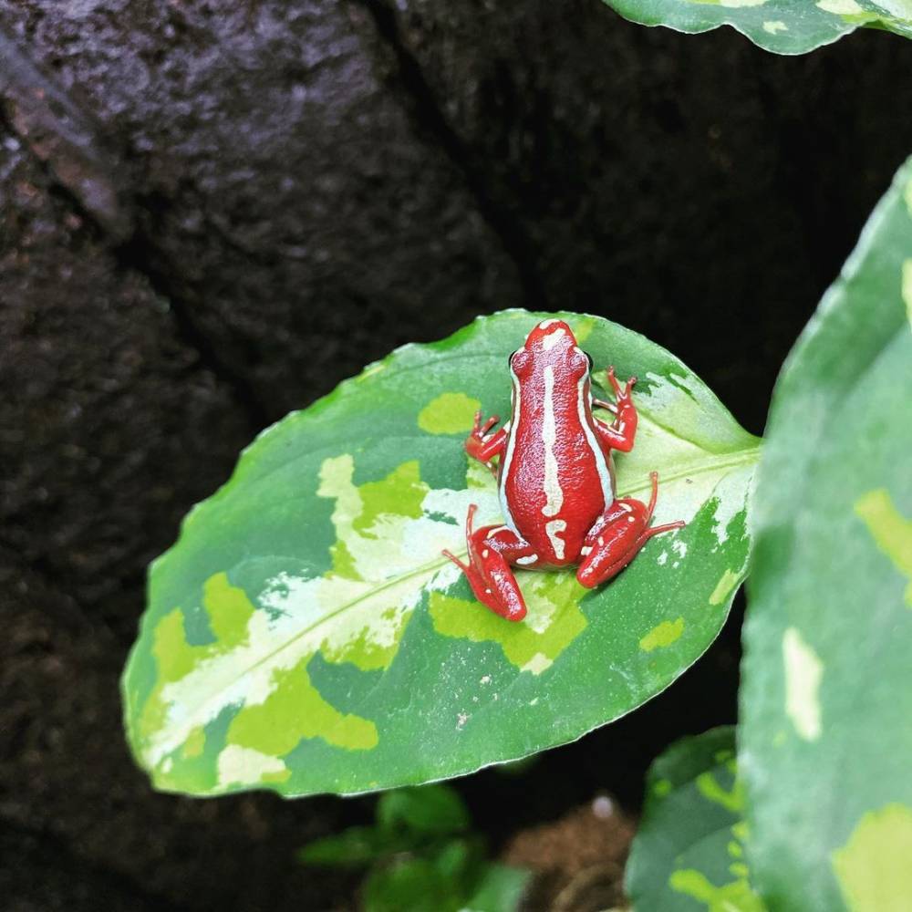 instagram.com/grass_boy.naturalenvironment