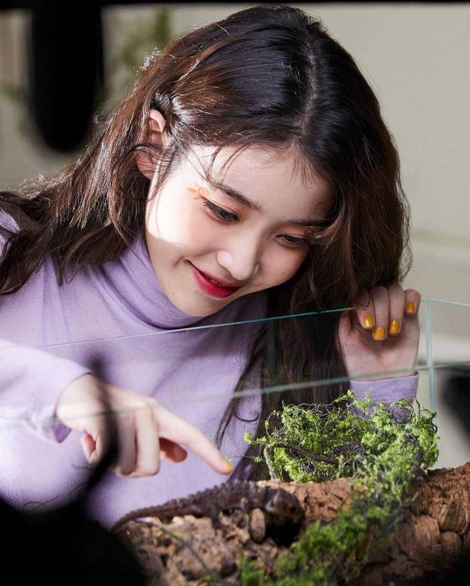 Instagram.com/lilyiu_