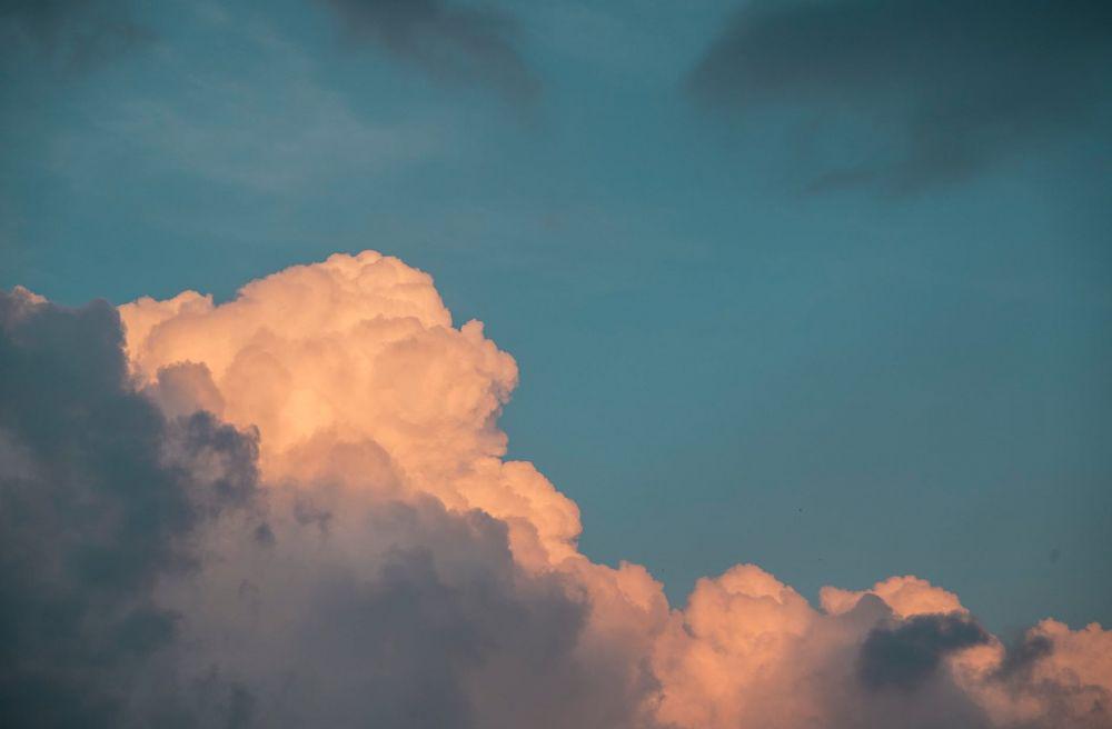 pexels.com/Dương Nhân
