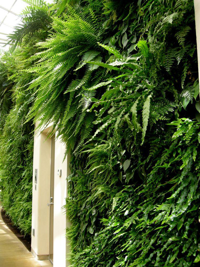 carolynsshadegardens.com