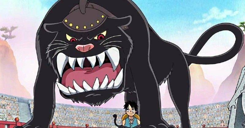 Toei Animation/One Piece