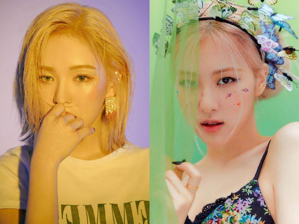 instagram.com/todayis_wendy | instagram.com/roses_are_rosie