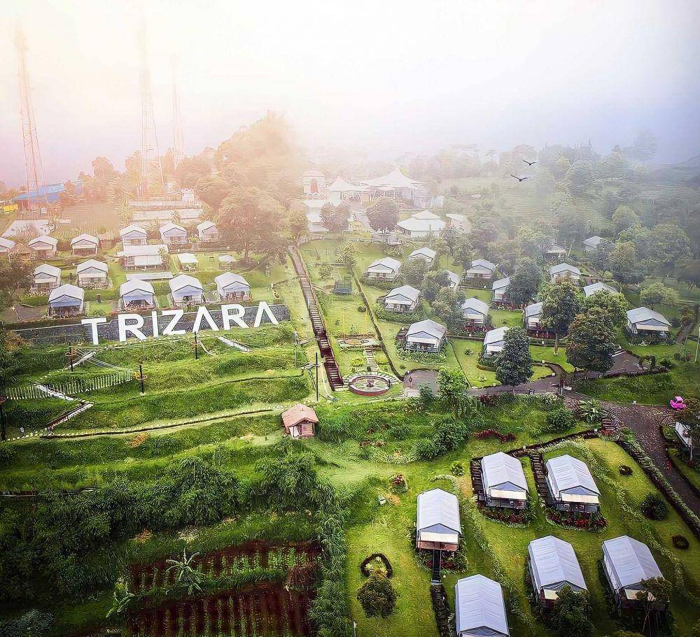 trizara.com