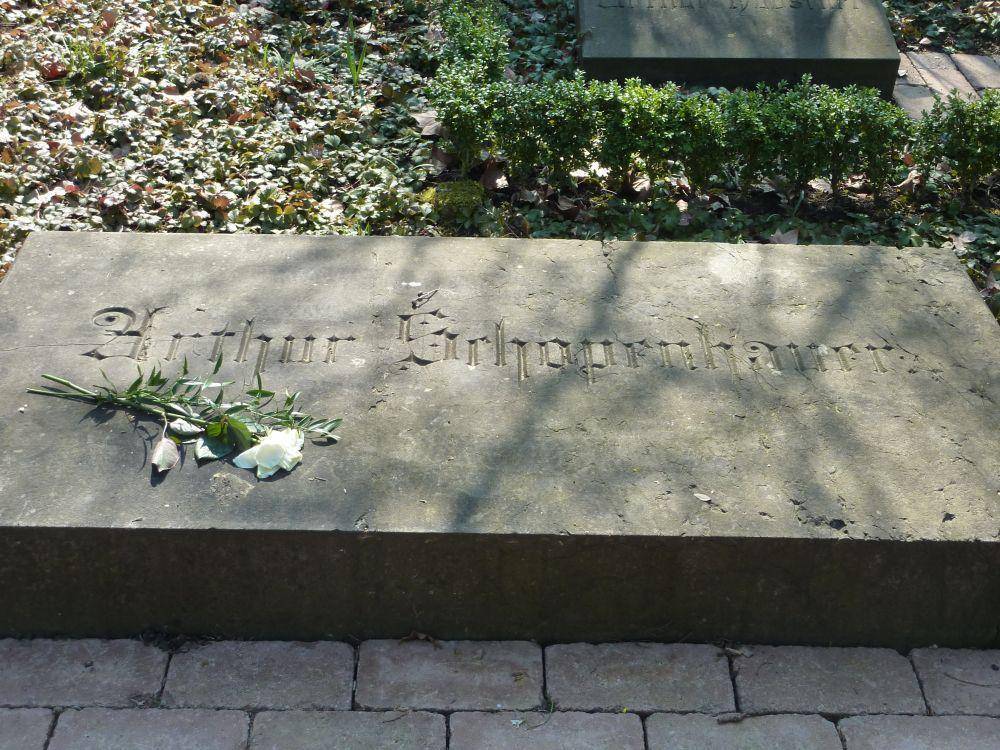 Arthur Schopenhauer | graves.mf.uni-lj.si