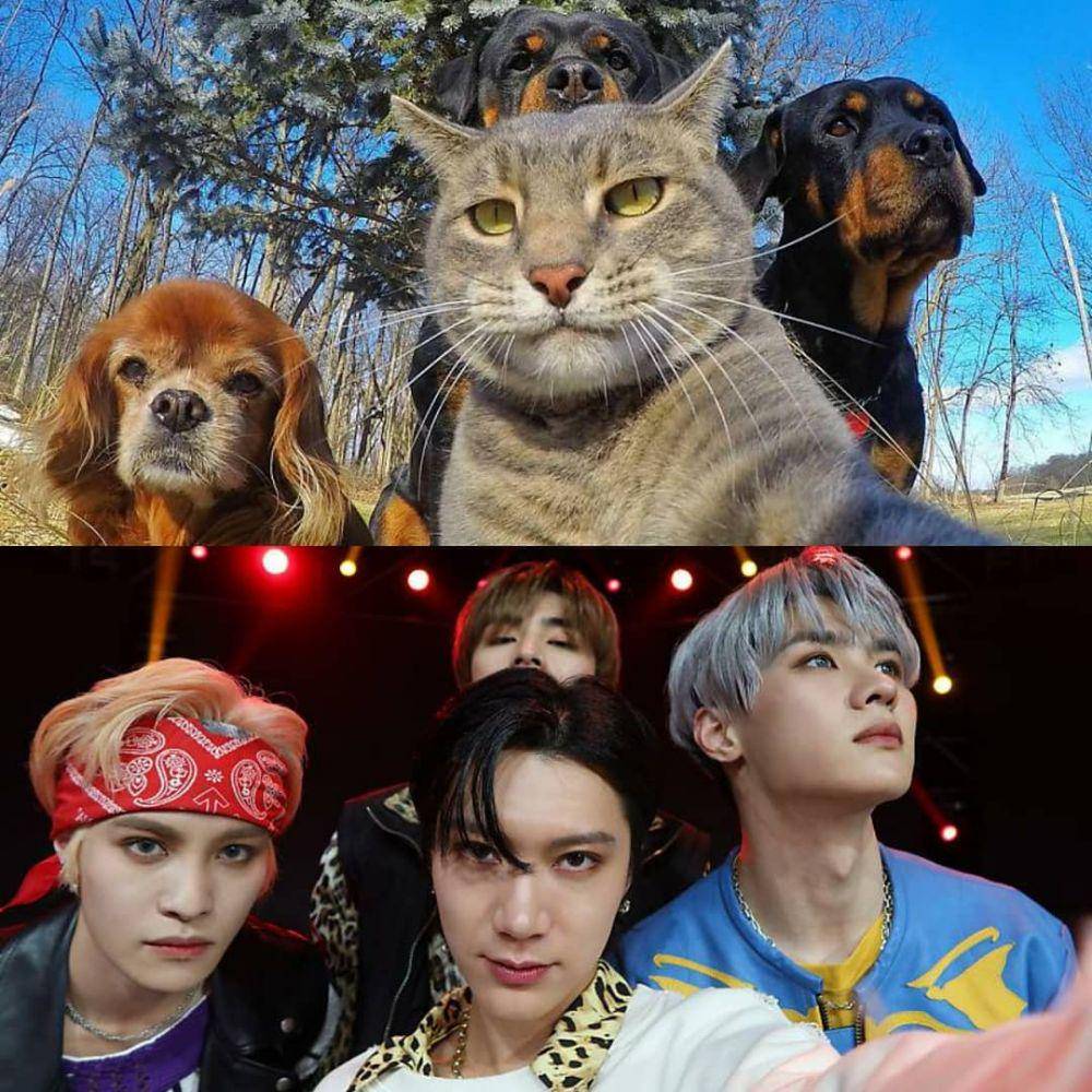 instagram.com/nctzeuni.id