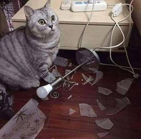 instagram.com/gallerysioyen