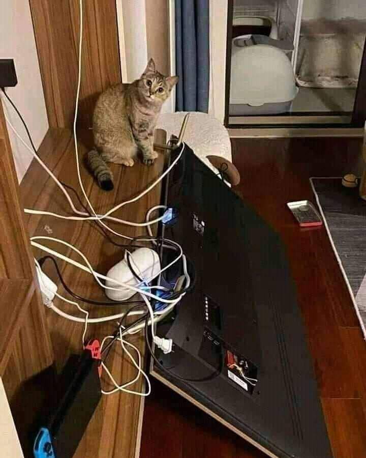 instagram.com/kochii_kochii