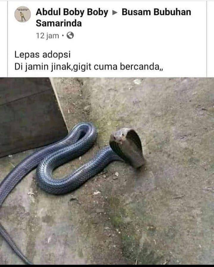 Instagram.com/meme.wkwk