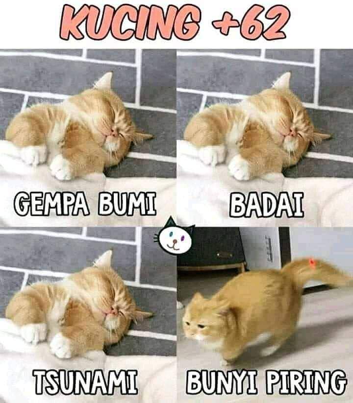 Instagram.com/rakyat_plus_62