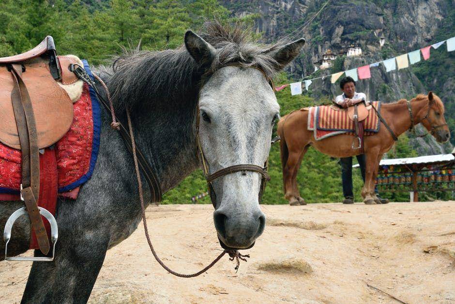 pexels.com/Travel Photography