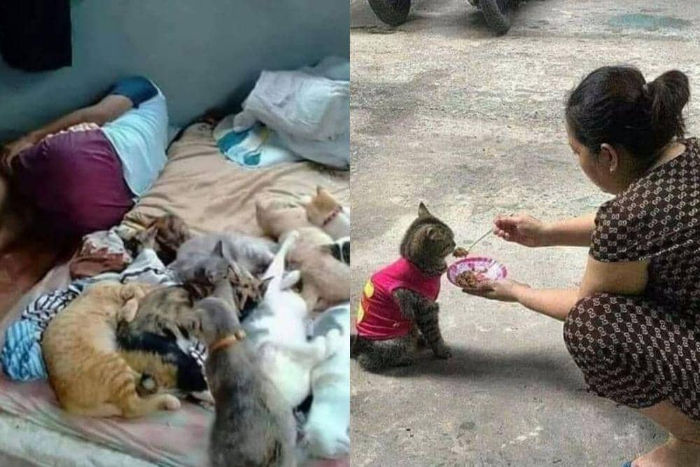 10 Potret saat Manusia Terlalu Bucin kepada Kucing, Bikin Tepuk Jidat