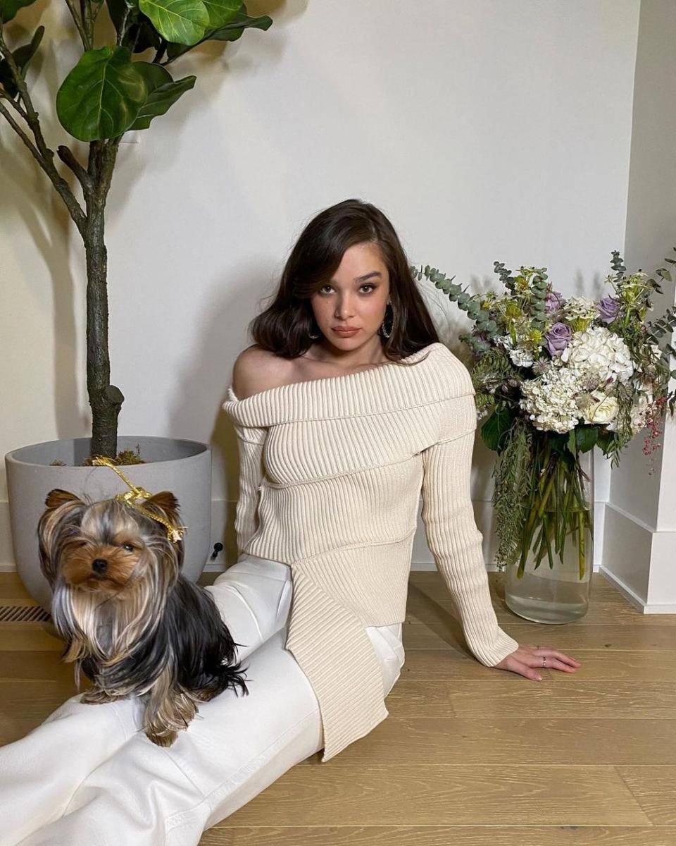 instagram.com/haileesteinfield