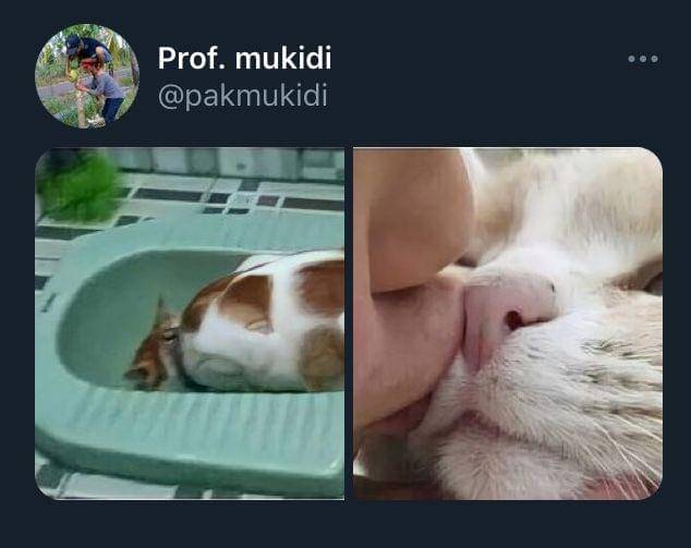 Twitter.com/pakmukidi