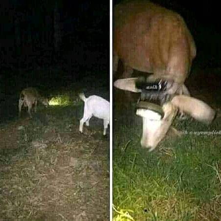 Instagram.com/rakyat_plus_62