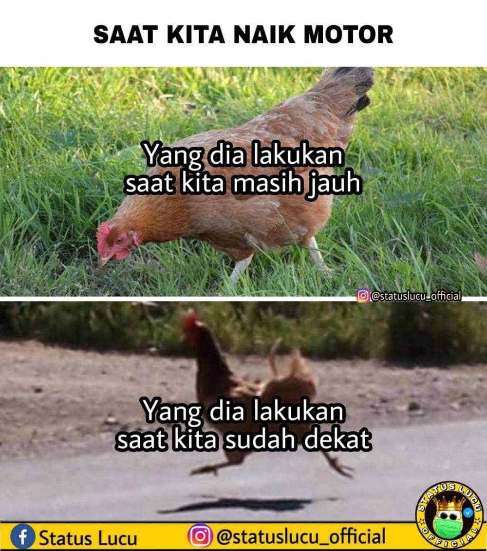 Instagram.com/statuslucu_official