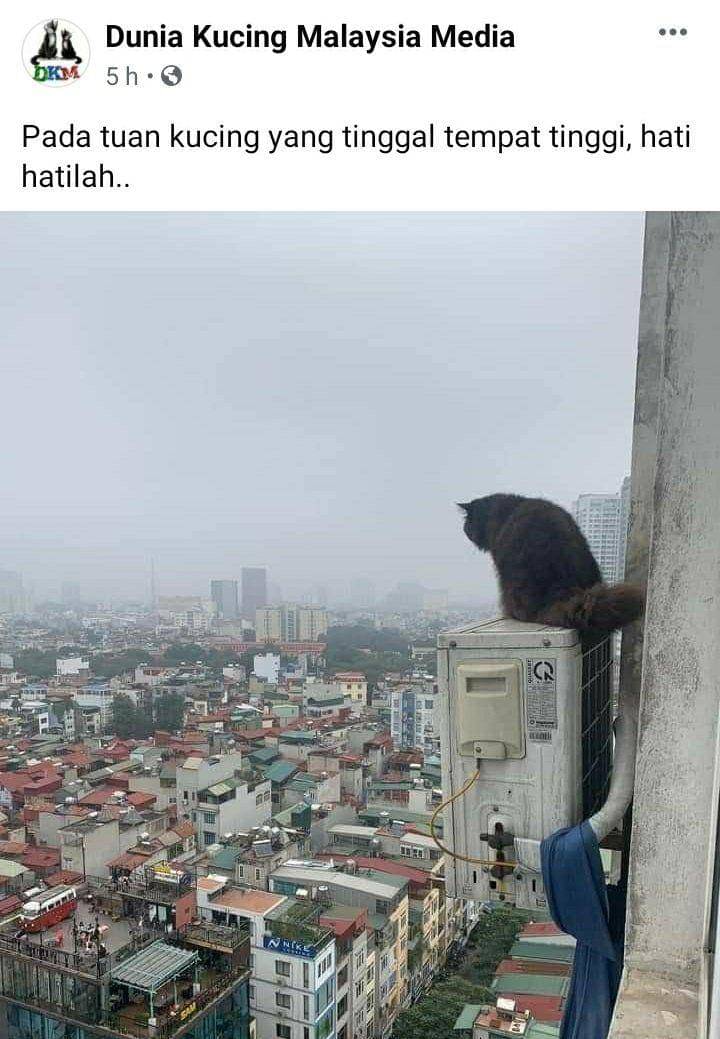 Twitter.com/ulat_bulu_bulu