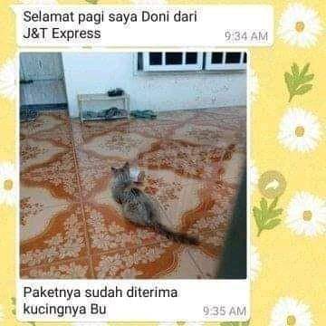 twitter.com/txtdrikurir