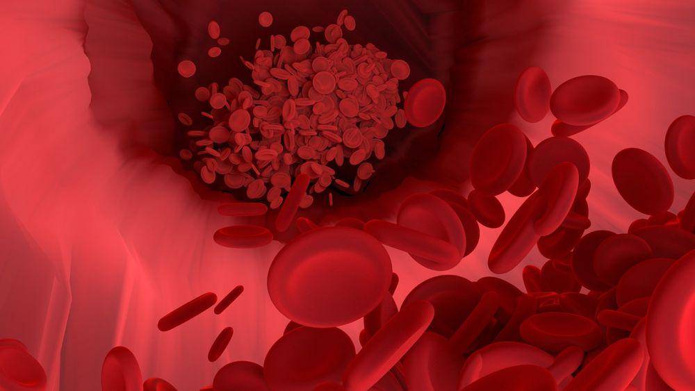 ilustrasi sel darah merah (pixabay.com/Vector8DIY)