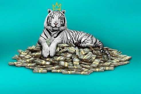 9 Fakta 'The White Tiger', Film Priyanka Chopra yang Masuk Oscar 2020