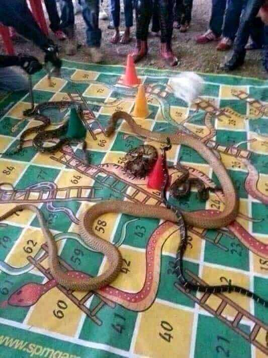 facebook.com/Filan Starla