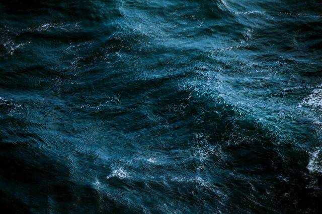 unsplash.com/Ivana Cajina