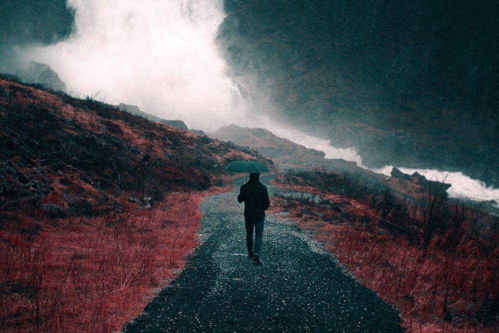 unsplash.com/Nick Scheerbart